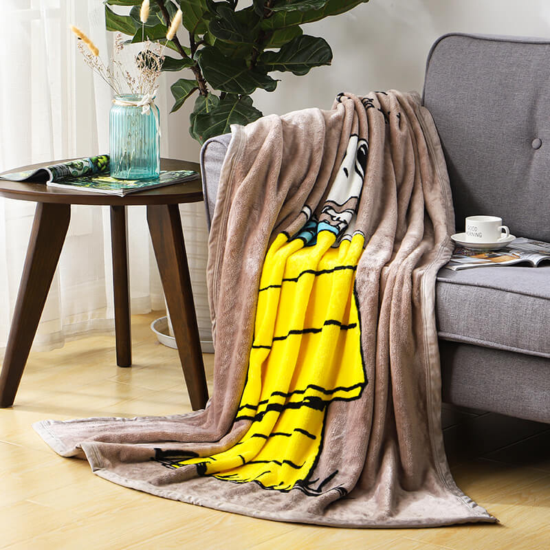 RKS-0140 High quality King Size lightweight cozy super soft microfiber Print flannel throw blankets fleece blanket for home 
